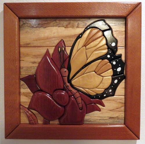 Framed, Flower  Butterfly