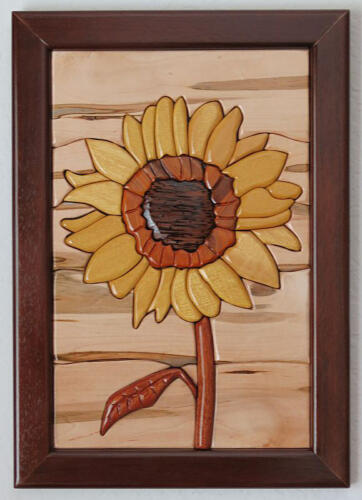 Framed, Sunflower