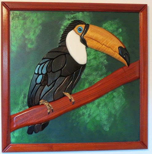 Framed, South American Toucan #2