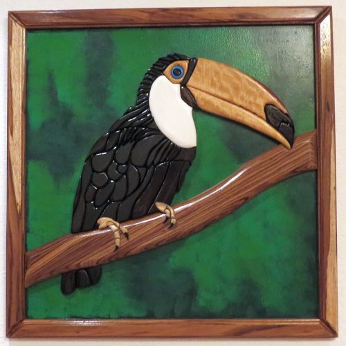 South-American-Toucan